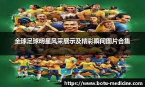 雷诺兹赛季数据回顾